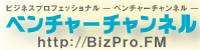 b_bizpro.gif